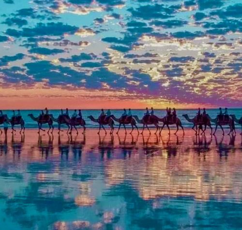 Color Inspiration - Camels at Sunset