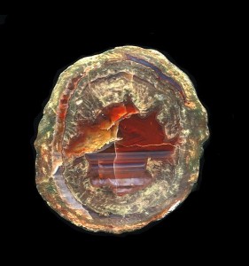 Judy Ellis's Gem Profile- Thundereggs and Mexican Lace Agate - , General Education, , Thunderegg agate from the south of France