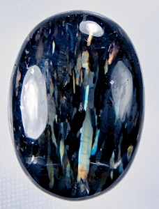 Judy Ellis's Gem Profile- Nuummite - , General Education, , Nuummite
