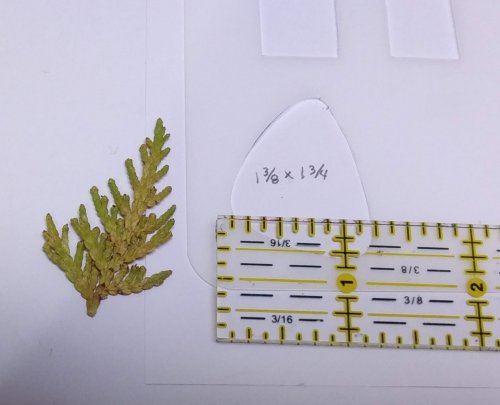 Judy Larson's Lemons to Lemonade - , Wire Jewelry Design, Cutting, Cutting Tool, Cutters, Filing, Finishing, Texturing, Butane Torch, Soldering, Solder, Design, then placed in a dehydrator for a few days