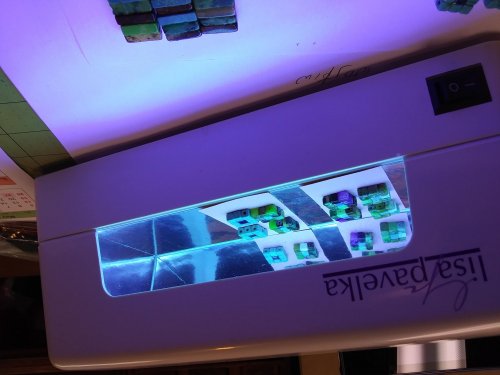 Judy Larson's Making Cobblestone Cabochons - , Stones, , Transfer the card with the cabochons to a UV light source