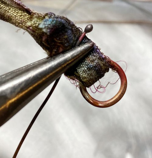 Susan LeGuyader's A Coiled Cold Connection - , Findings & Components, Toggles & Clasps, Earwire & Headpin, Coiling, Coiling Wire, Wire Coiling, , file any rough ends and you are ready to use