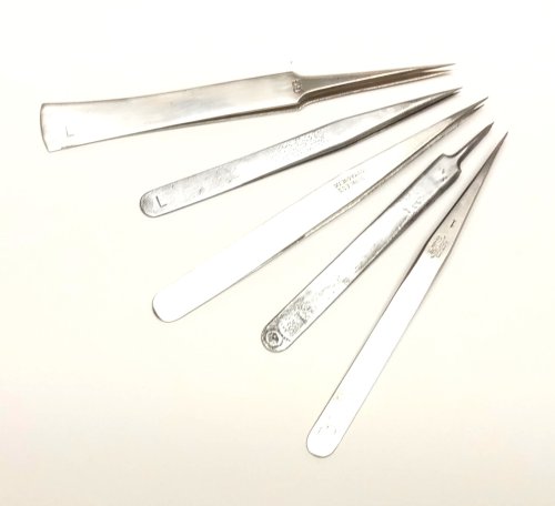 Judy Larson's My Favorite Tweezers - , General Education, Tools, , Different size of tweezers