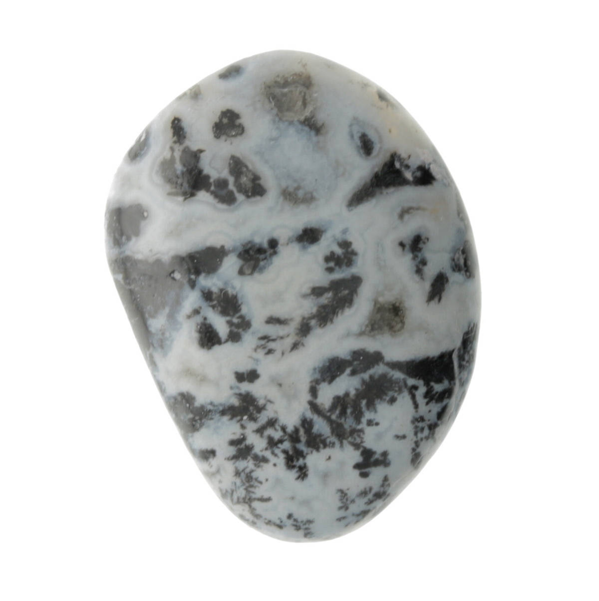 30X21mm Dendritc Agate