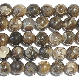 Turritella Agate 4mm Round Beads - 8 Inch Strand