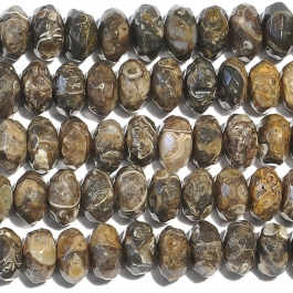 Turritella Agate 8mm Faceted Rondelle Beads - 8 Inch Strand
