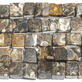 Turritella Agate 6mm Cube Beads - 8 Inch Strand