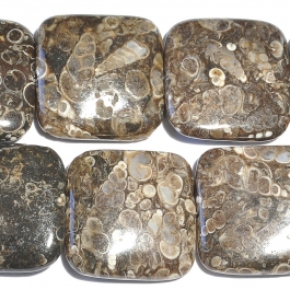 Turritella Agate 30mm Square Beads - 8 Inch Strand