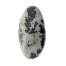 28X14mm Dendritc Agate
