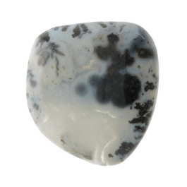 28X27mm Dendritc Agate