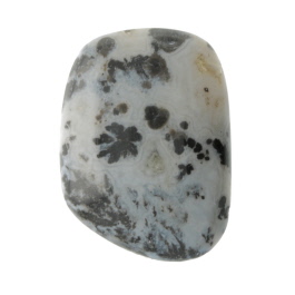 28X19mm Dendritc Agate