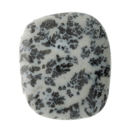 27X23mm Dendritc Agate