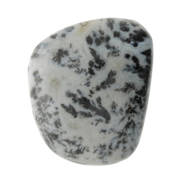 27X23mm Dendritc Agate