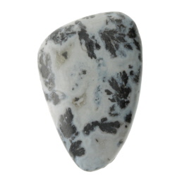 29X19mm Dendritc Agate