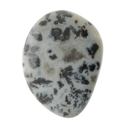 29X21mm Dendritc Agate