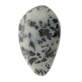 31X19mm Dendritc Agate