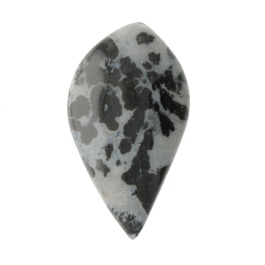 37X21mm Dendritc Agate