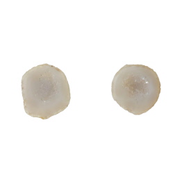 19X18mm 1/2 Agate Nodule W/Druzy Pair