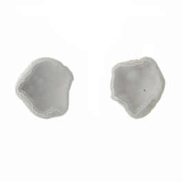22X20mm 1/2 Agate Nodule W/Druzy Pair