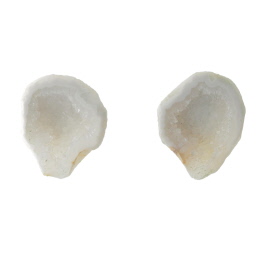 25X20mm 1/2 Agate Nodule W/Druzy Pair
