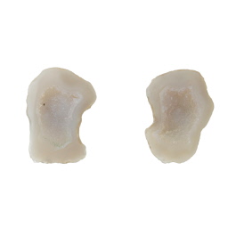 26X19mm 1/2 Agate Nodule W/Druzy Pair