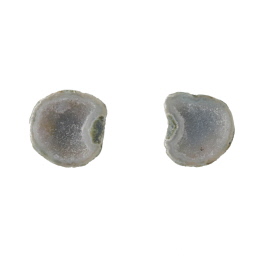 21X20mm 1/2 Agate Nodule W/Druzy Pair