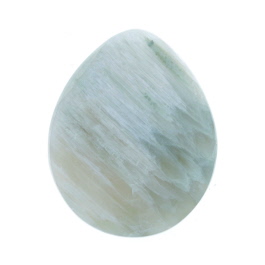 36x29mm Green Petrified Wood
