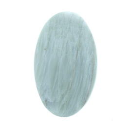 36x22mm Green Petrified Wood