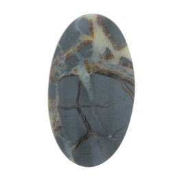46x26mm Septarian