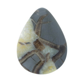 44x35mm Septarian