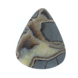 44x36mm Septarian