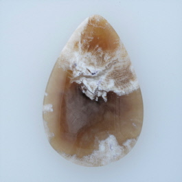 43x29mm Petrified Wood