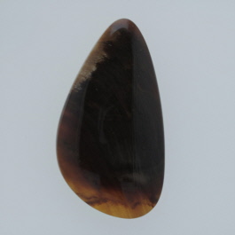 39x21mm Petrified Wood
