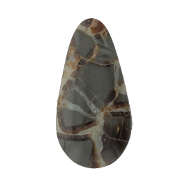 46x23mm Septarian
