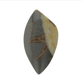 44x24mm Septarian