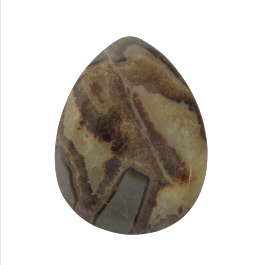 44x34mm Septarian