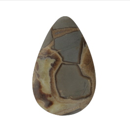 49x31mm Septarian