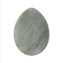 31x23mm Green Petrified Wood