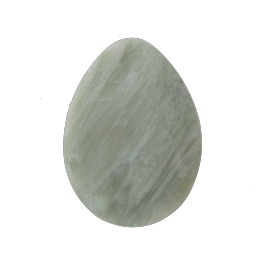 34x25mm Green Petrified Wood