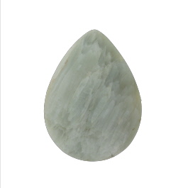 33x24mm Green Petrified Wood