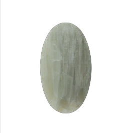 32x18mm Green Petrified Wood