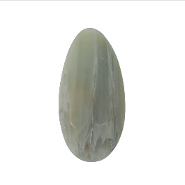 33x16mm Green Petrified Wood