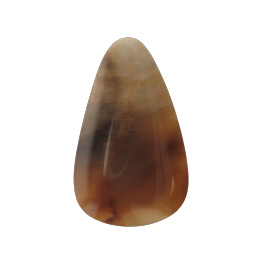 38x23mm Petrified Wood
