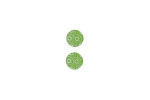Lillypilly - Lime Anemone - 3/4" Disc (PKG 2)