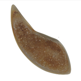 95x35mm Polished Druzy