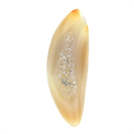 54x19mm Polished Druzy