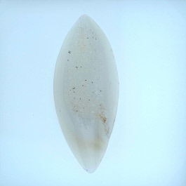 49x20mm Polished Druzy
