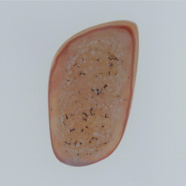 34x20mm Polished Druzy