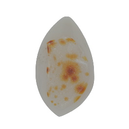 35x21mm Polished Druzy