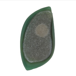 56x31mm Polished Druzy